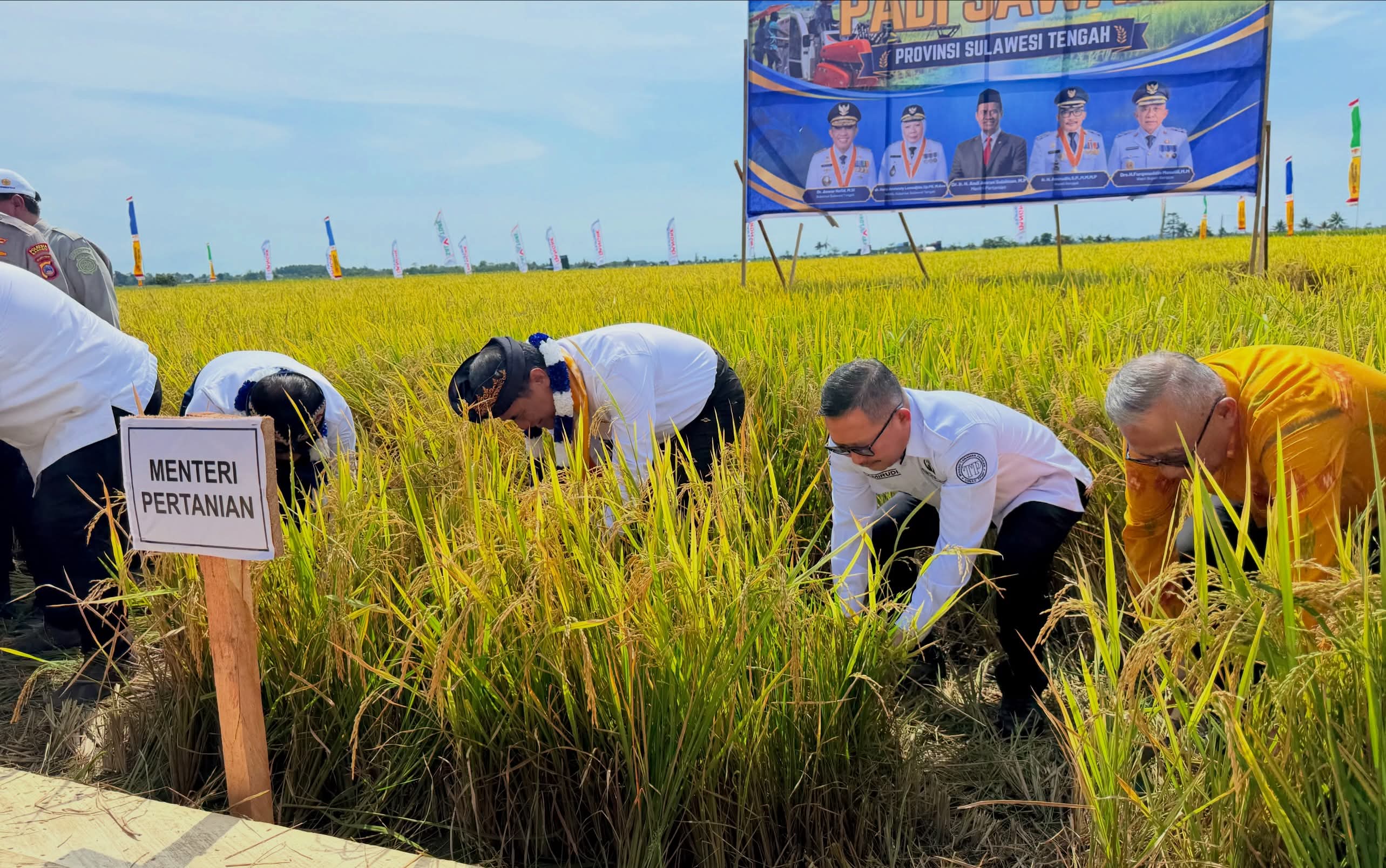 panen-raya-di-desa-tirtasari-menteri-pertanian-dorong-penguatan-pertanian-dan-kesejahteraan-petani